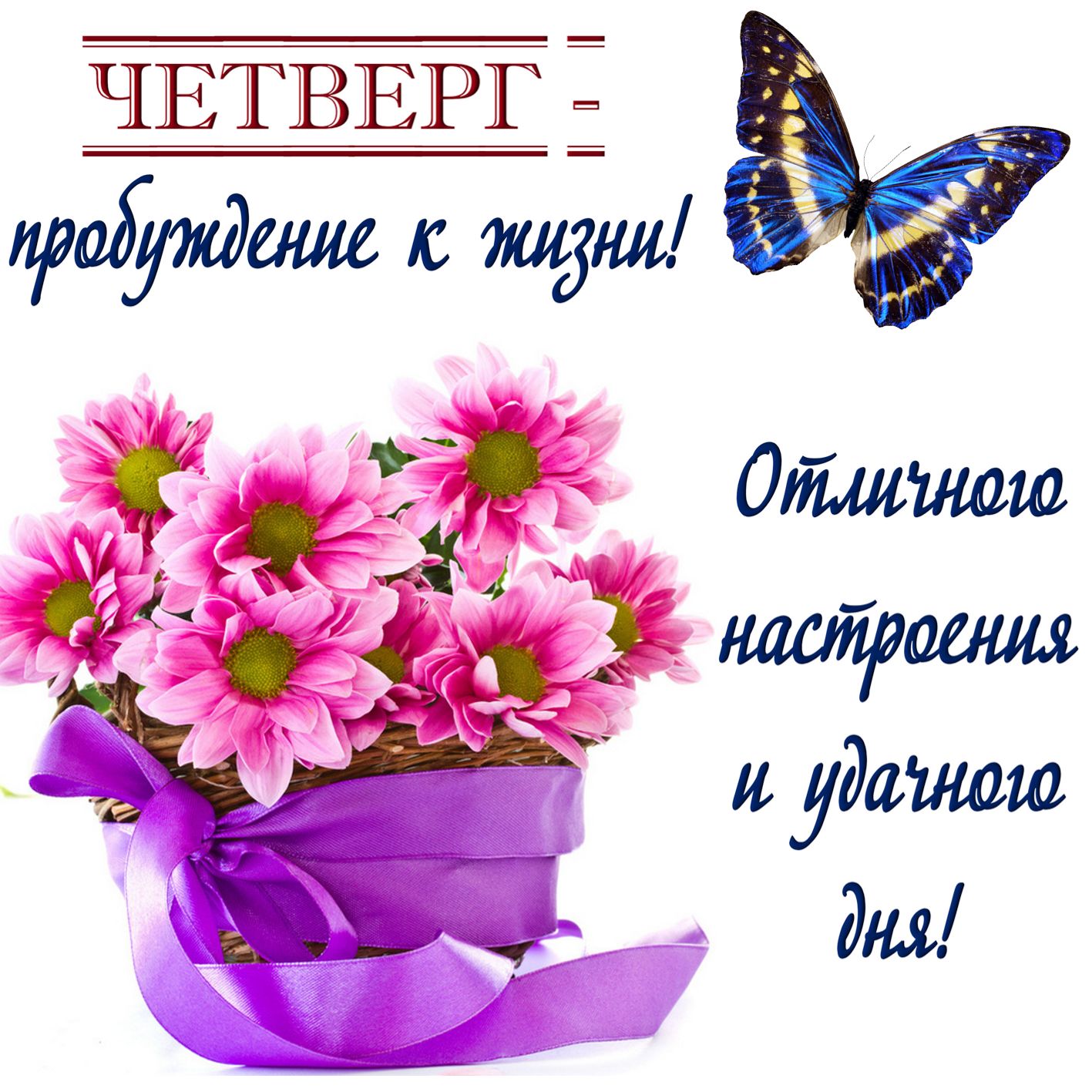 chetverg0006.jpg